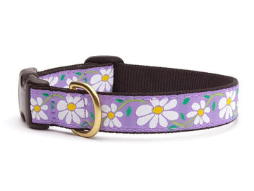 Coastal 1.5 Sublime Dog Collar Flower Purple and Yellow Large Buy