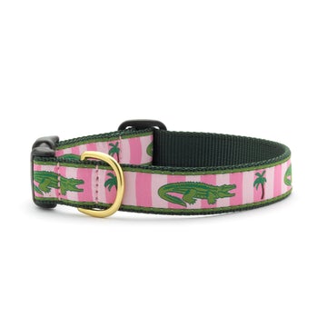 Up Country alligator dog collar