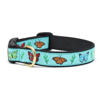 Up Country butterfly effect dog collar