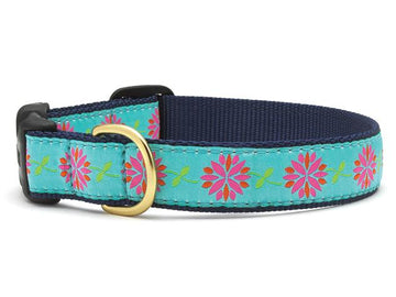 Up Country dahlia darling dog collar