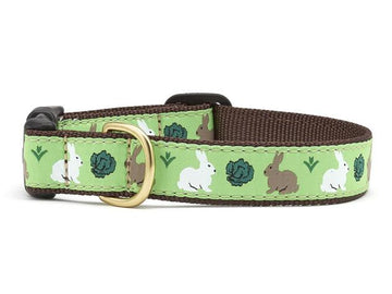Up Country garden rabbit dog collar