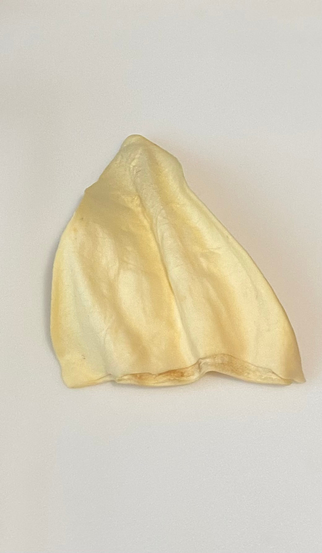 Cow Ear Dog Treat