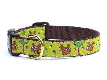 Up Country nuts dog collar