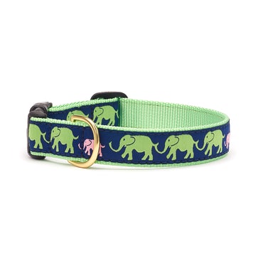 Up Country leader of the pach dog collar