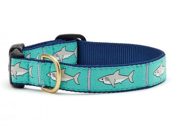 Up Country shark dog collar