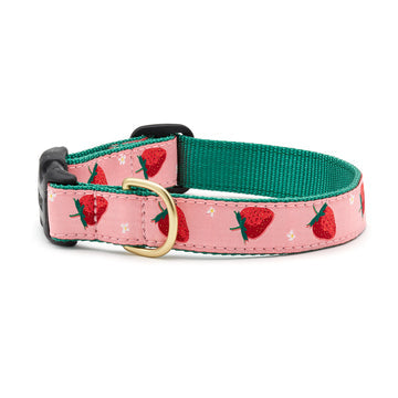Up Country strawberry fields dog collar