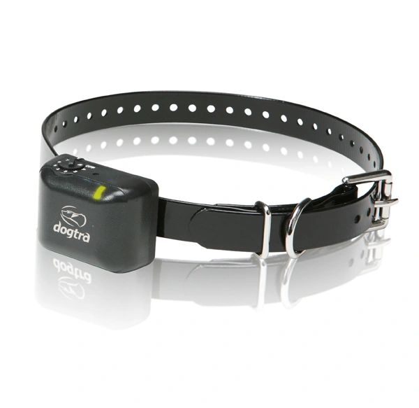 Dogtra YS300 (no bark collar)