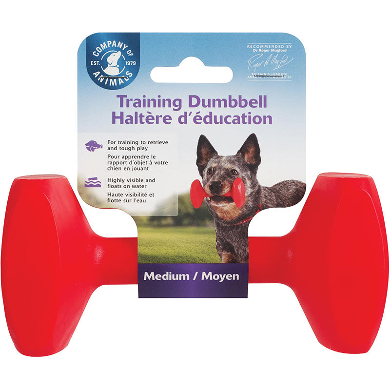 Training Dumbbell (Medium)