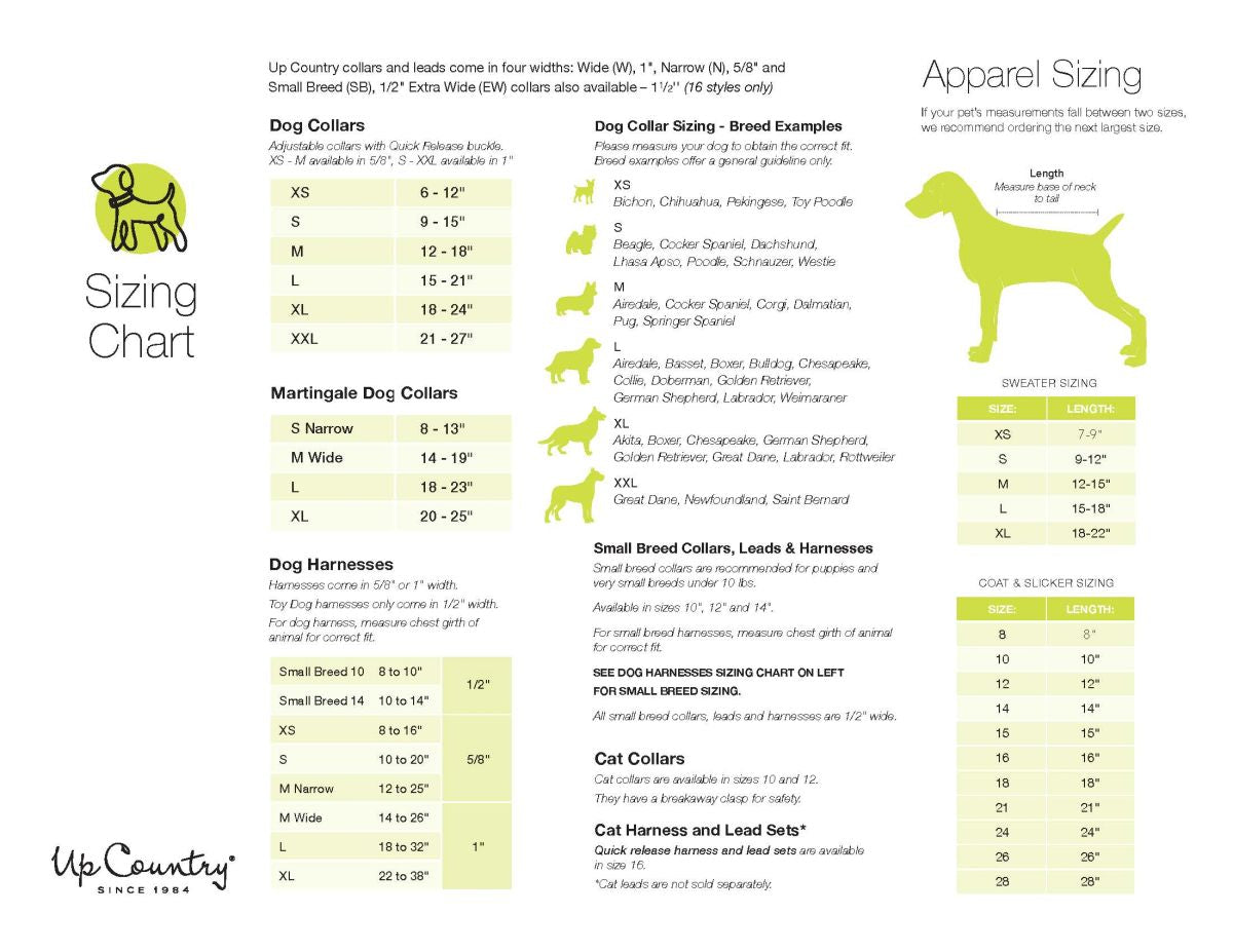 Up Country coloring book dog collar