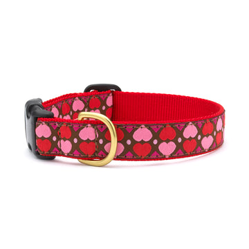 Up Country all hearts dog collar