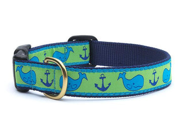 Up Country whale dog collar