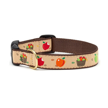 Up Country apple of my eye dog collar