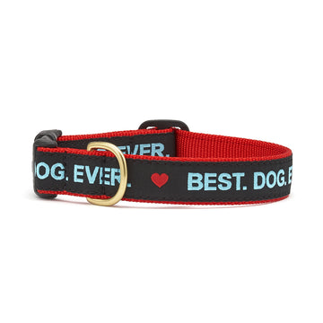 Up Country best dog ever collar