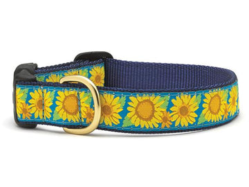 Up Country bright sunflower dog collar