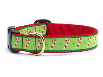 Up Country candy cane dog collar