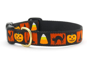 Up Country Halloween dog collar