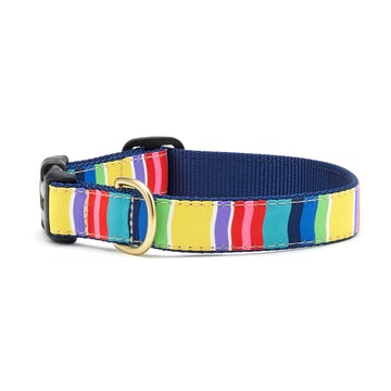 Up Country colorful stripe dog collar