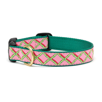 Up Country coral gables dog collar