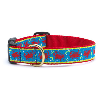 Up Country crabby dog collar