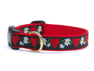 Up Country hearts and flowers dog collar