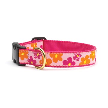 Up Country flower power dog collar