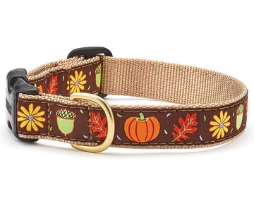 Up Country harvest time dog collar