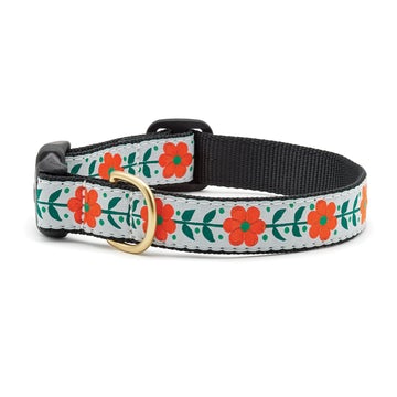 Up Country orange you pretty dog collar