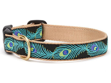 Up Country peacock dog collar