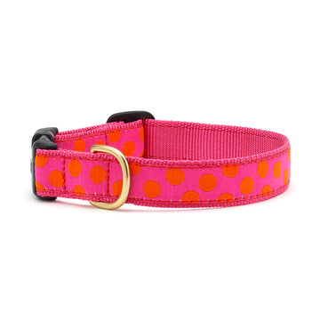 Up Country pink and orange dot dog collar