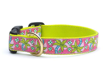 Up Country Pink palms dog collar