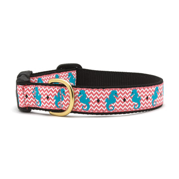 Up Country seahorse dog collar
