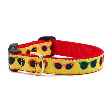 Up Country shady dog collar