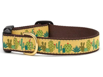 Up Country succulent dog collar