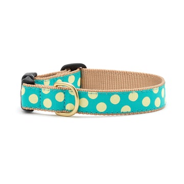 Up Country teal and yellow dot dog collar