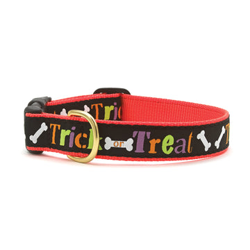 Up Country trick or treat dog collar