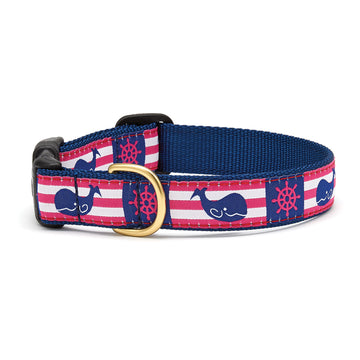 Up Country whale stripe dog collar
